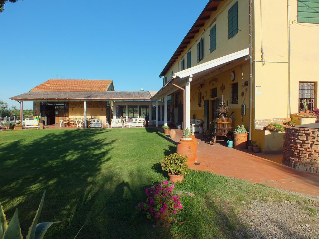Agriturismo San Martino Ponsacco Eksteriør billede